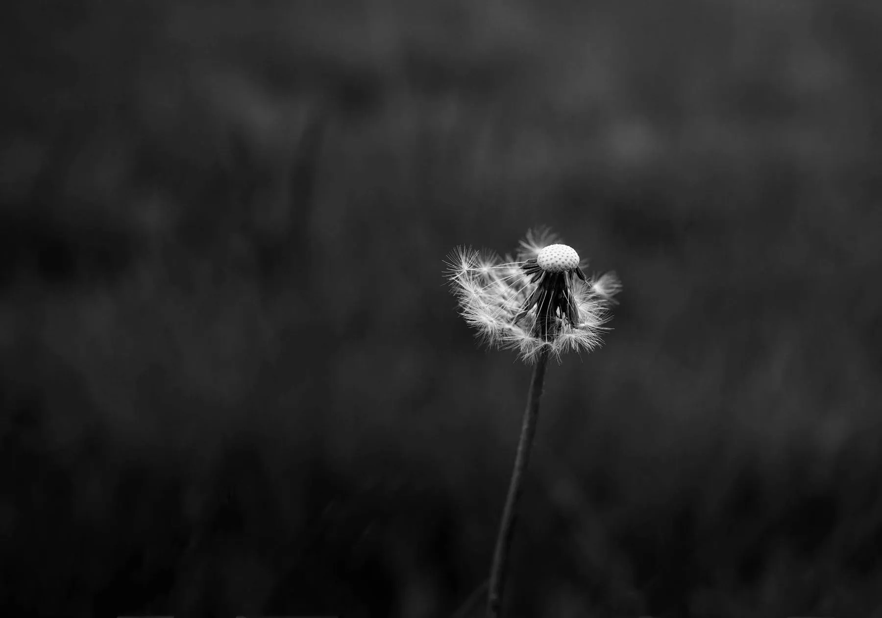 Featured 02