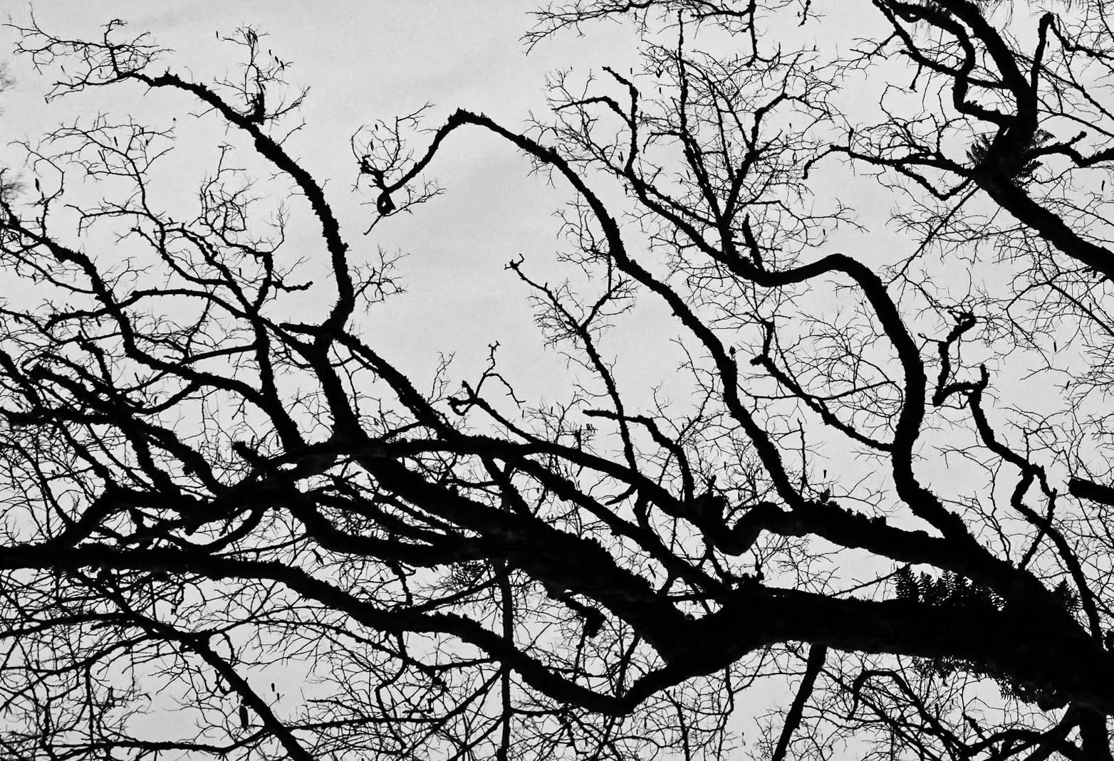 Nature 05